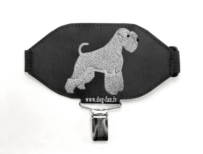 shnaucer grey tail(1) copy